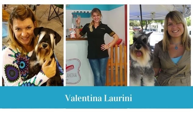 I 10 consigli di Valentina Laurini per toelettare il tuo cane in casa.