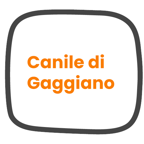 Canile di Gaggiano