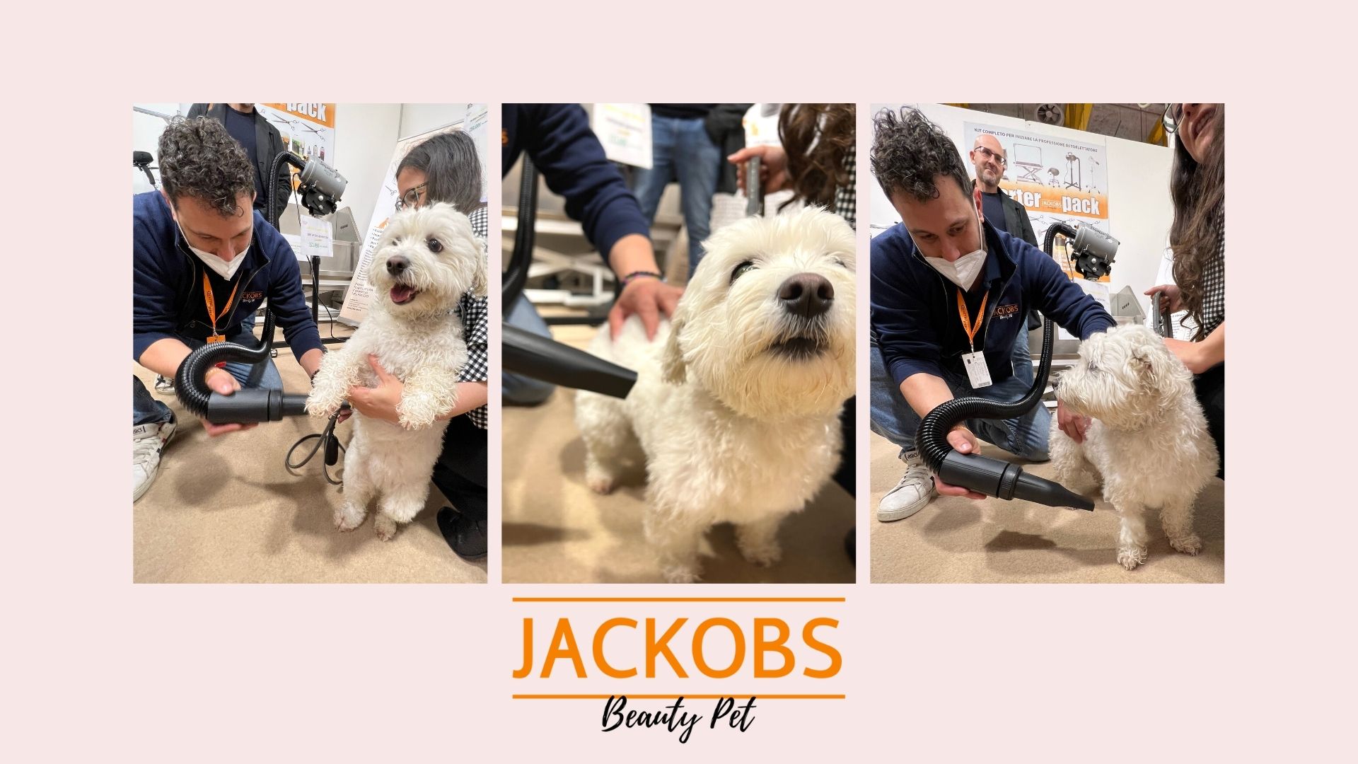 Jackobs per Pet a 4zampeinfiera Bologna