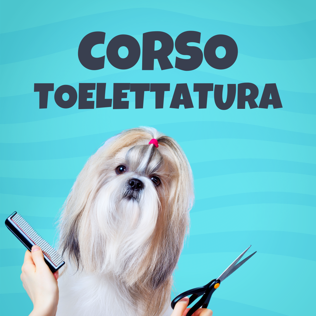 Corso di Toelettatura